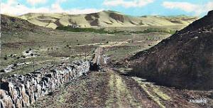 Taghit 13